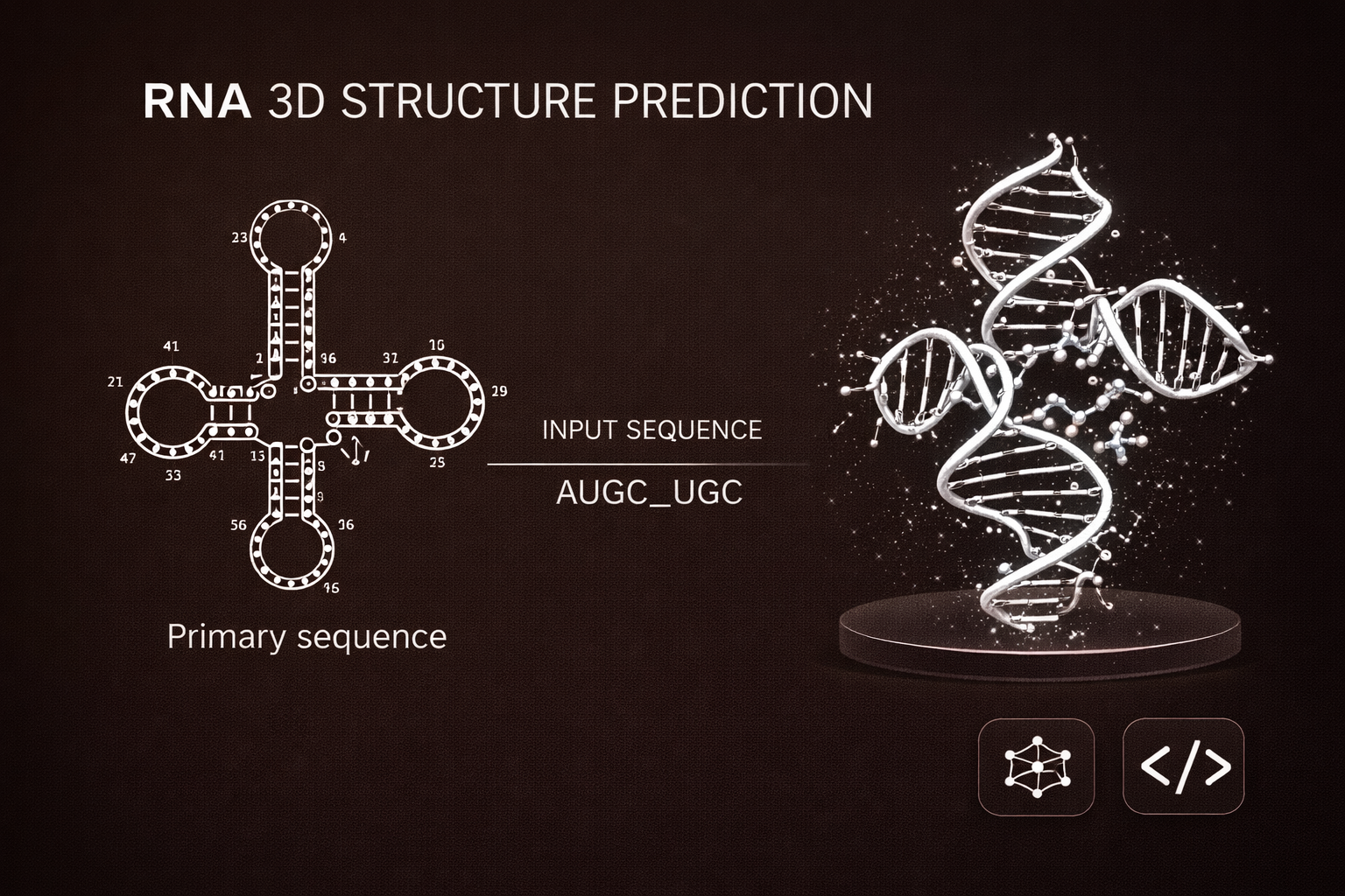 RNA Folding Prediction